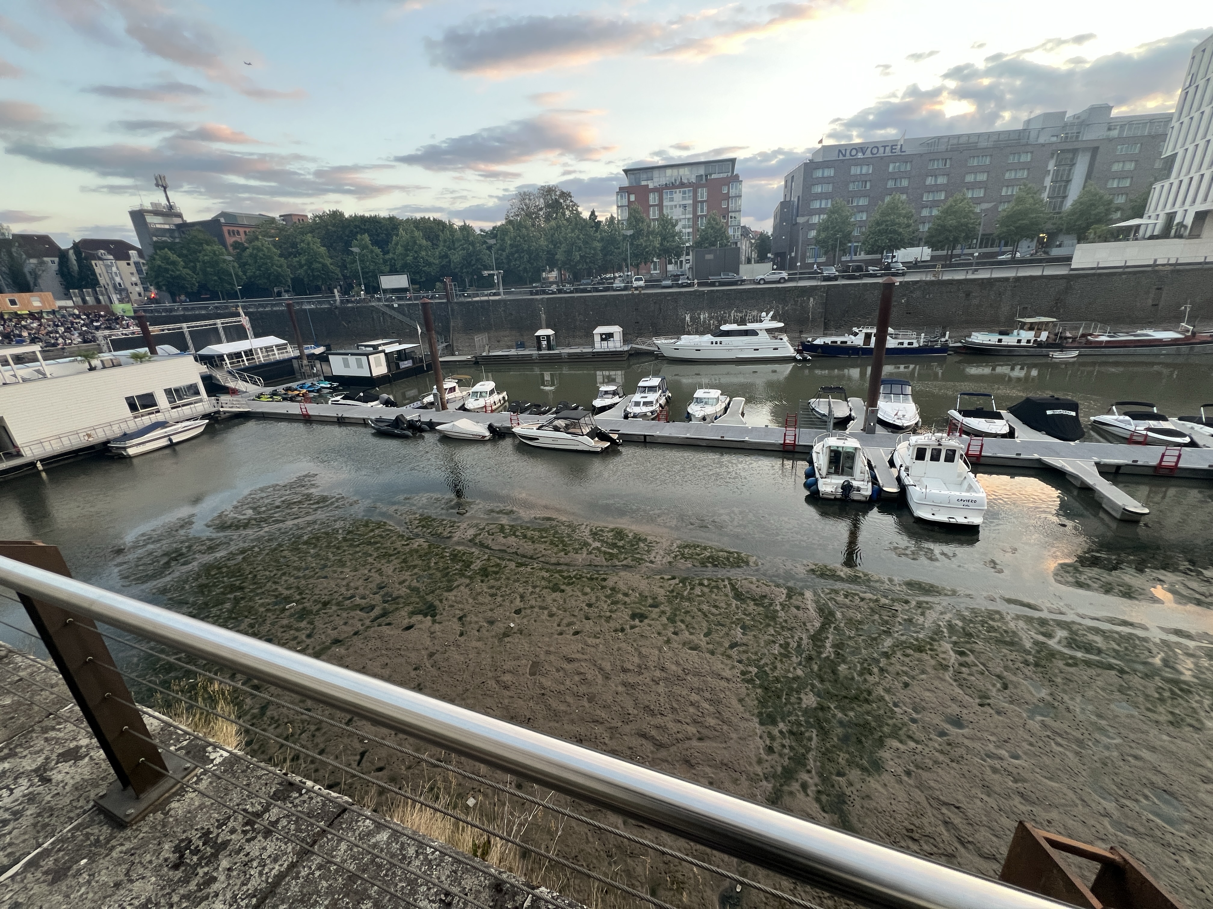 Köln'de Ren Nehri'nde Düşük Su Seviyesi